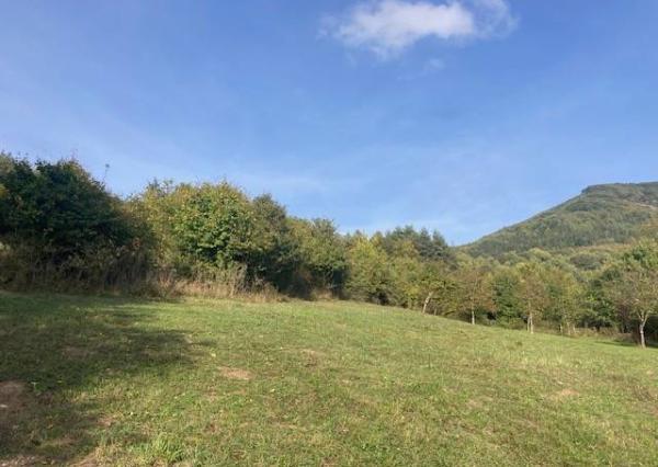 Na predaj rekreačný pozemok Košecké Podhradie, 760 m2