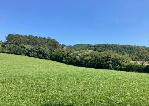 Na predaj pozemok Košecké Podhradie, 756 m2