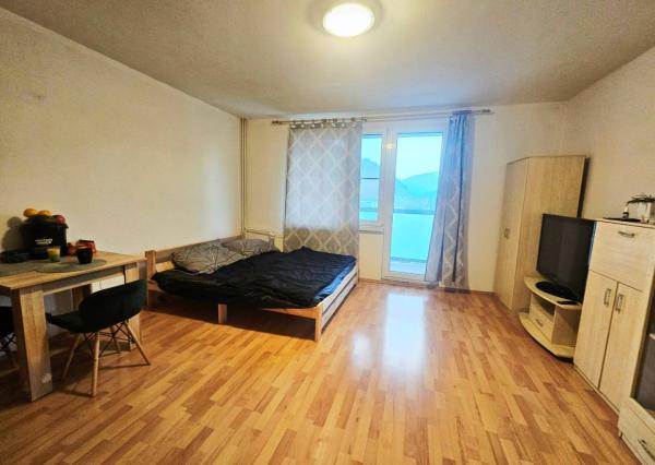 REZERVOVANÁ - Garsónka v Trenčianskych Tepliciach