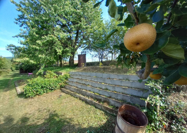 *REZERVOVANÉ* Slnečná záhrada s murovanou chatkou, Nemšová časť Ľuborč