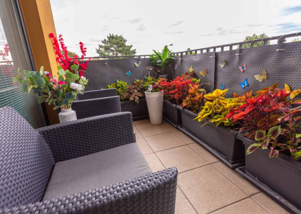 Výnimočný 3-izbový apartmán s balkónom, 71 m², Nový Ružinov