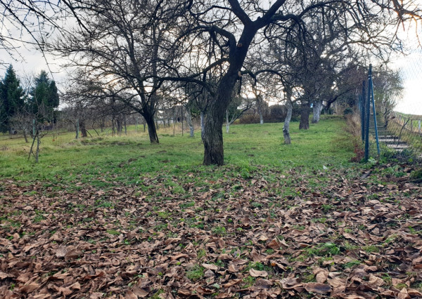 Na predaj záhrada o výmere 784 m2 - Nové Mesto n/V