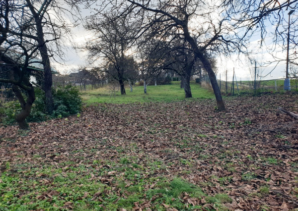 Na predaj záhrada o výmere 784 m2 - Nové Mesto n/V