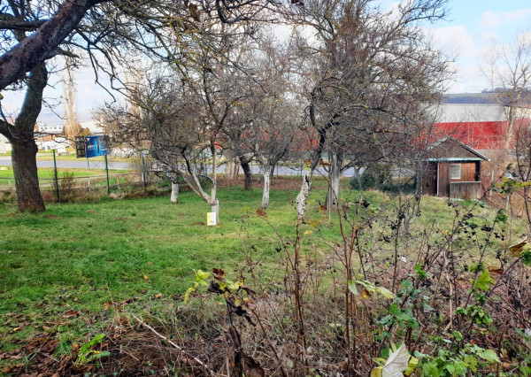 Na predaj záhrada o výmere 784 m2 - Nové Mesto n/V