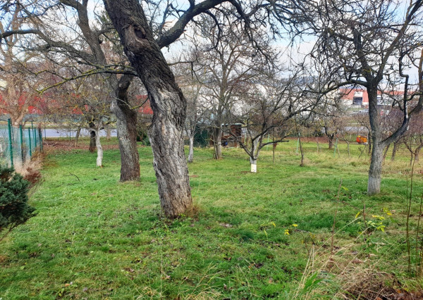 Na predaj záhrada o výmere 784 m2 - Nové Mesto n/V