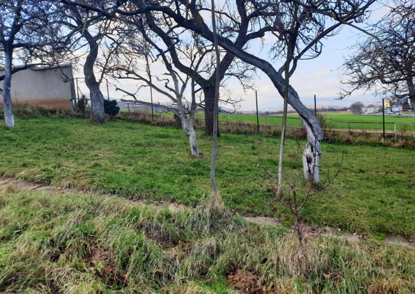 Na predaj záhrada o výmere 784 m2 - Nové Mesto n/V