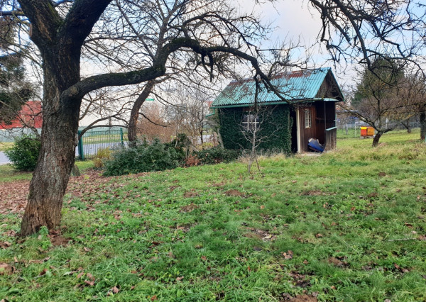 Na predaj záhrada o výmere 784 m2 - Nové Mesto n/V