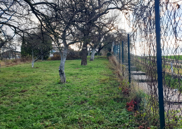 Na predaj záhrada o výmere 784 m2 - Nové Mesto n/V