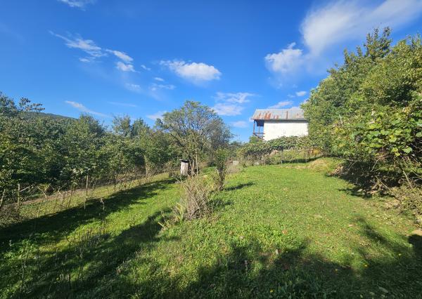 Záhrada v kúpeľnom meste Trenčianske Teplice