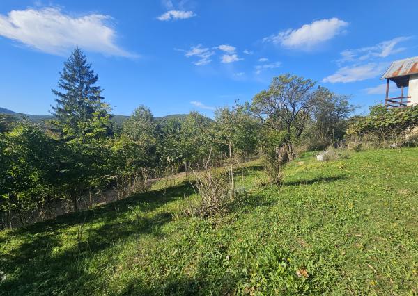 Záhrada v kúpeľnom meste Trenčianske Teplice