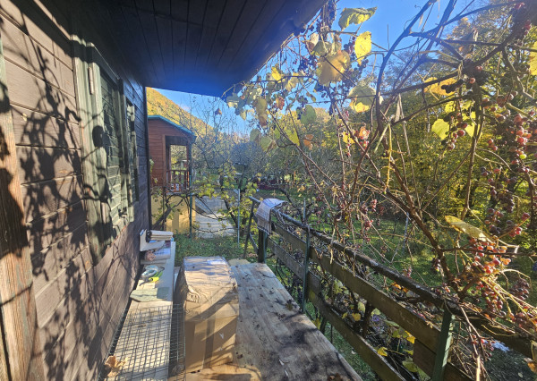 Záhrada s chatkou v kúpeľnom meste Trenčianske Teplice, 305 m2