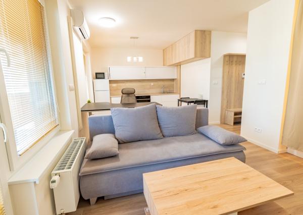 BORY, 1,5-izb byt s lodžiou, 54m², D. Tatarku, od 21.2.2026