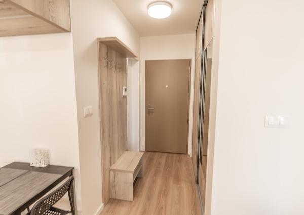 BORY, 1,5-izb byt s lodžiou, 54m², D. Tatarku, od 21.2.2026