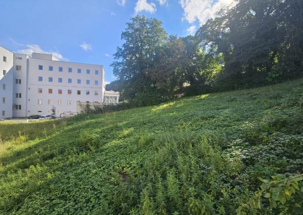 Komerčný pozemok 1651 m2, Hurbanova , Trenčianske Teplice 