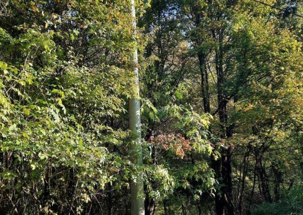 Veľký rekreačný pozemok v obci Zubák,  3611 m2