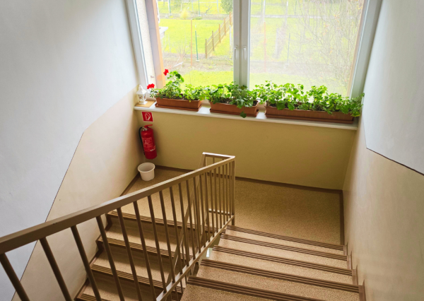 3-izbový byt so záhradou a garážou – Sadová ulica, Piešťany