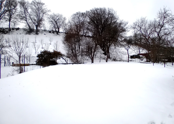 Rodinný dom, Nemšová časť Ľuborča, pozemok 1064 m2