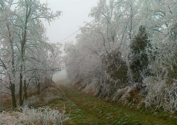 Na predaj Pozemok Oščadnica, Veľká Rača 1229 m2