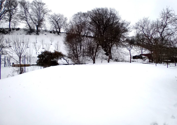 Rodinný dom, Nemšová časť Ľuborča, pozemok 1064 m2