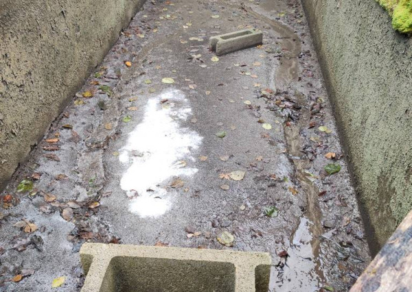 Murovaná chata v rekreačnej oblasti , Moravany nad Váhom - Výtoky