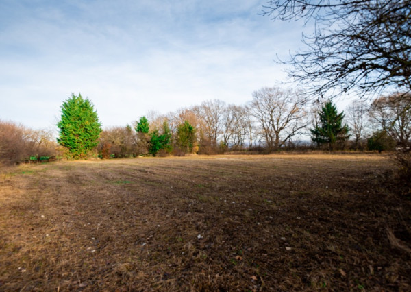 Predaj investičného pozemku - Stupava – extravilán-13 804 m²