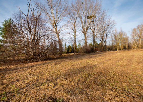 Predaj investičného pozemku - Stupava – extravilán-13 804 m²