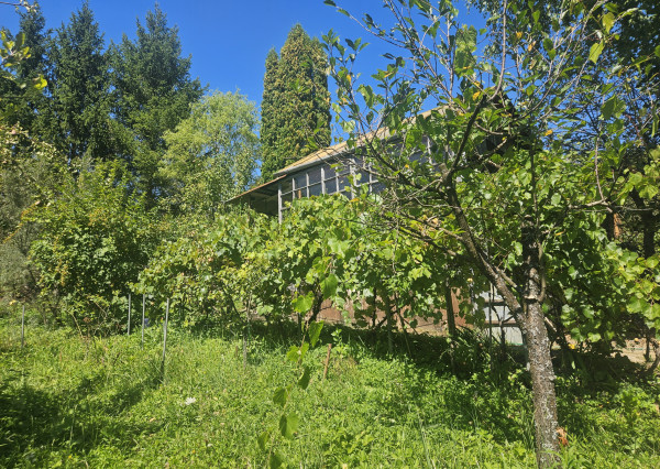 Záhrada v kúpeľnom meste Trenčianske Teplice 