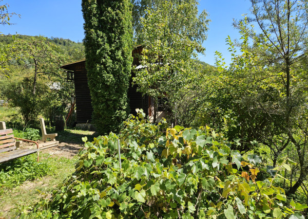 Záhrada v kúpeľnom meste Trenčianske Teplice 