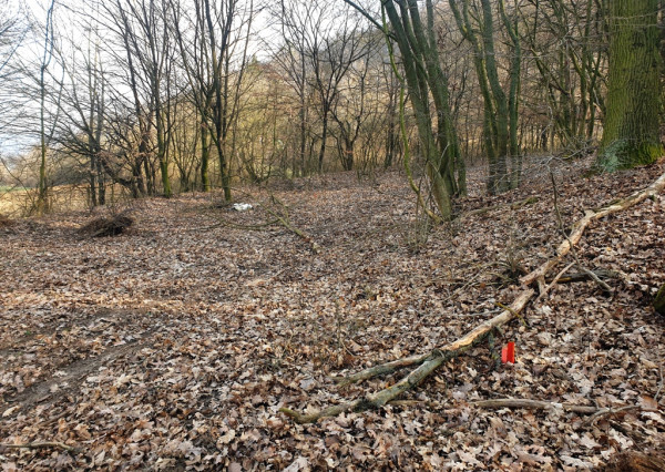 Rekreačný pozemok pri lese 1 139 m2 - možnosť výstavby chatky - Trenčianske Bohuslavice