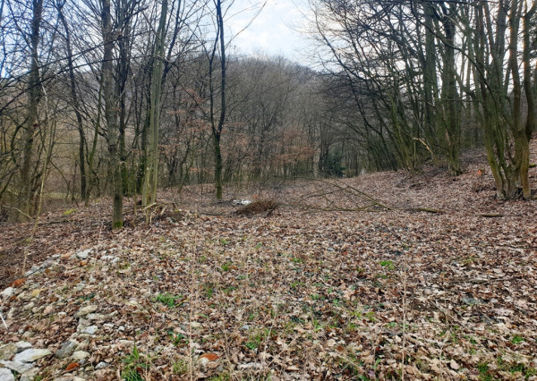 Rekreačný pozemok pri lese 1 139 m2 - možnosť výstavby chatky - Trenčianske Bohuslavice
