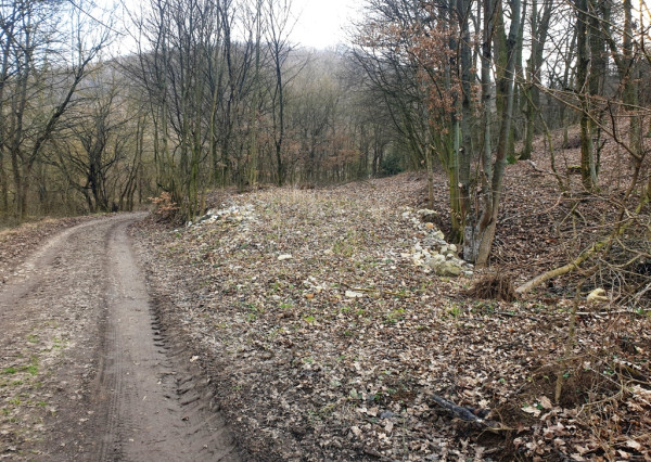 Rekreačný pozemok pri lese 1 139 m2 - možnosť výstavby chatky - Trenčianske Bohuslavice