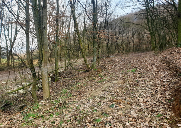 Rekreačný pozemok pri lese 1 139 m2 - možnosť výstavby chatky - Trenčianske Bohuslavice