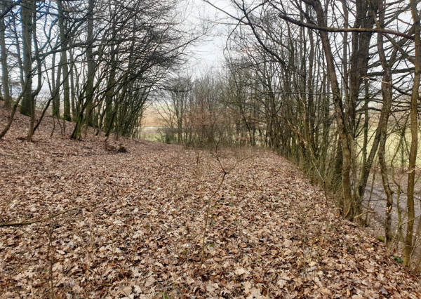 Rekreačný pozemok pri lese 1 139 m2 - možnosť výstavby chatky - Trenčianske Bohuslavice