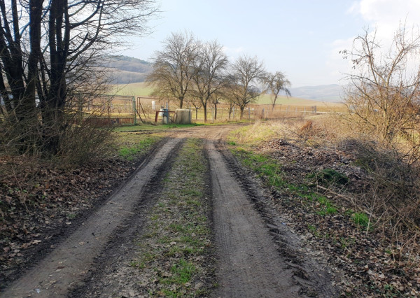 Rekreačný pozemok pri lese 1 139 m2 - možnosť výstavby chatky - Trenčianske Bohuslavice