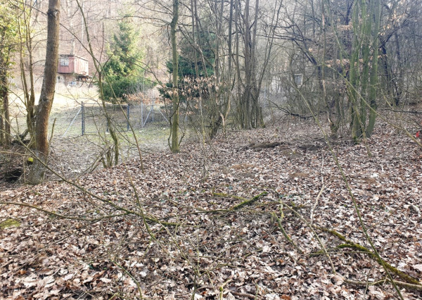 Rekreačný pozemok pri lese 1 139 m2 - možnosť výstavby chatky - Trenčianske Bohuslavice