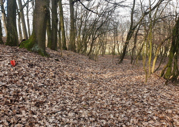 Rekreačný pozemok pri lese 1 139 m2 - možnosť výstavby chatky - Trenčianske Bohuslavice