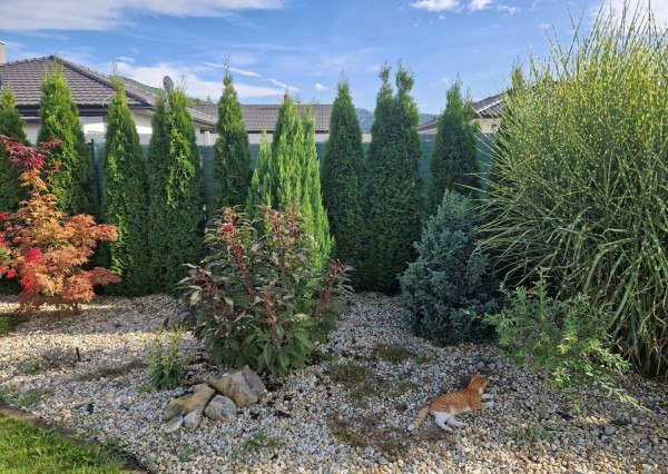 Novostavba - bungalov 100 m2 v obci Košeca, pozemok 800 m2