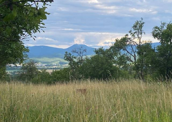 Pozemok s krásnym výhľadom - 3260 m2 - Slávnica (Tlstá hora)