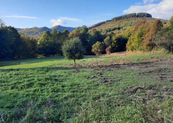 Veľký rekreačný pozemok v obci Zubák,  3611 m2