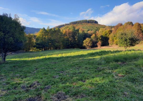 Veľký rekreačný pozemok v obci Zubák,  3611 m2