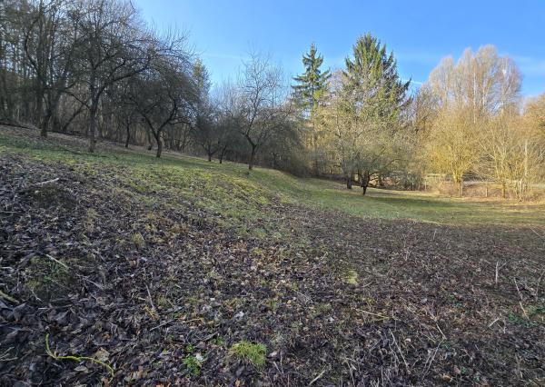 Rozľahlý stavebný pozemok 3660m2 Myjavské kopanice - Krajné