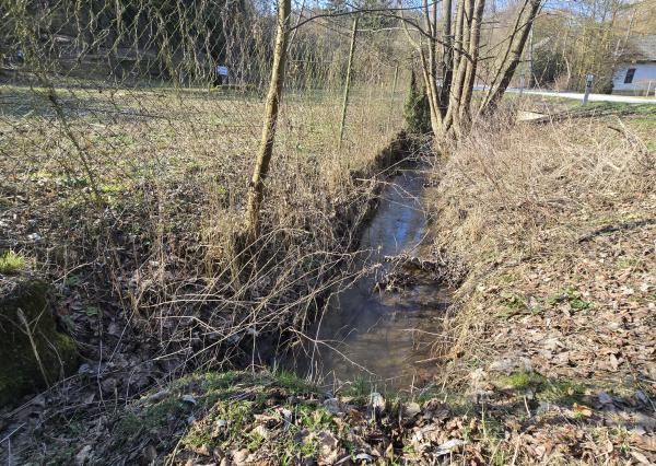 Rozľahlý stavebný pozemok 3660m2 Myjavské kopanice - Krajné