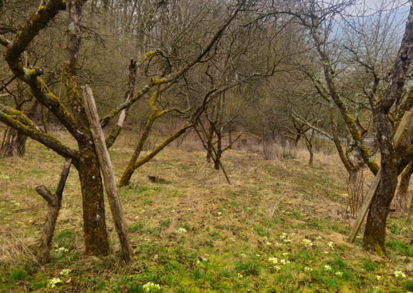 Chatka so záhradou - 758 m2 Trenčianske Teplice