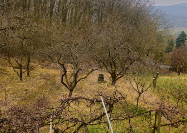 Chatka so záhradou - 758 m2 Trenčianske Teplice