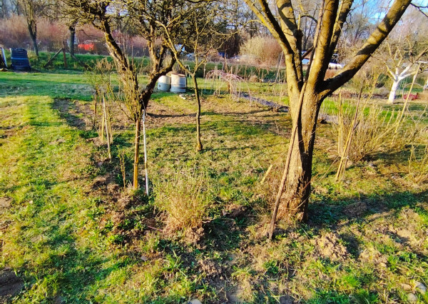 Na predaj záhradná chatka Trenčín, Juh