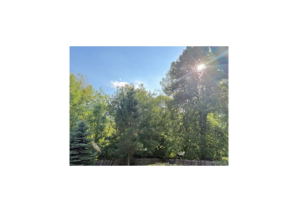 Chata pred dokončením na pozemku 770 m2, Horná Maríková