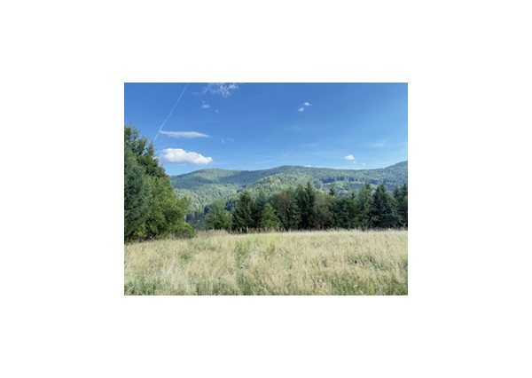 Chata pred dokončením na pozemku 770 m2, Horná Maríková