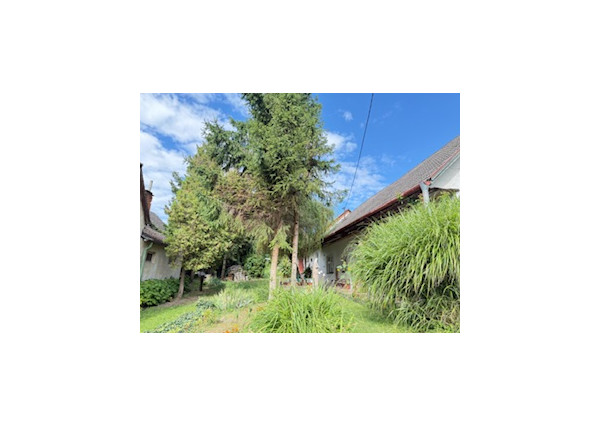 Romantická chalúpka na veľkom pozemku 2330 m2