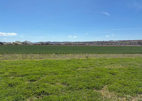 Na predaj ORNÁ Pôda Dežerice 85000 m2