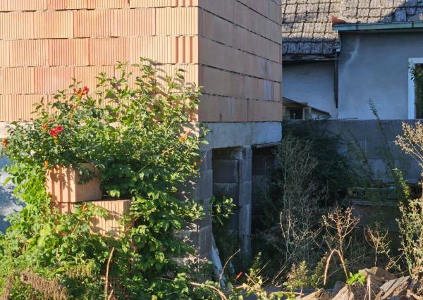 REKREAČNÝ DOMČEK  V CENTRE OBCE OSTROV PRI PIEŠŤANOCH